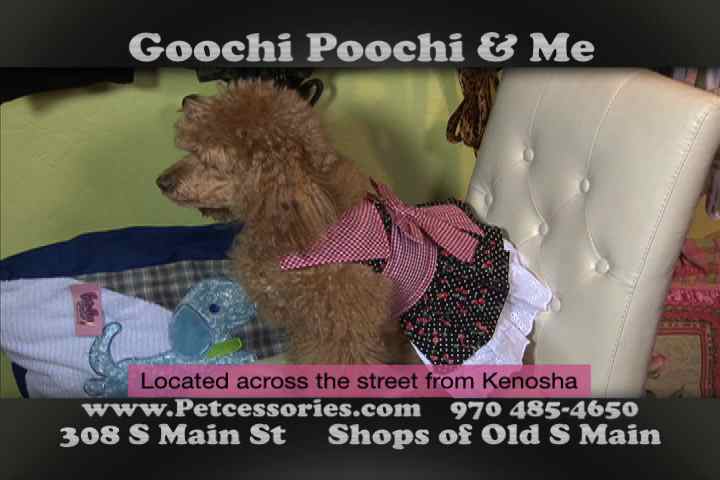 Goochi Poochi 